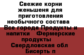 Свежие корни женьшеня для приготовления необычного состава - Все города Продукты и напитки » Фермерские продукты   . Свердловская обл.,Бисерть п.